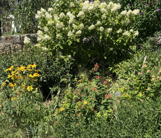Bibelgarten